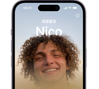 泰州苹果15服务站分享iPhone15实时语音留言开启方法 